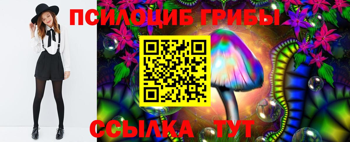 Псилоцибиновые грибы Psilocybe  Галлюциногенные грибы GOLDEN TEACHER  Шадринск  Вход с VPN 