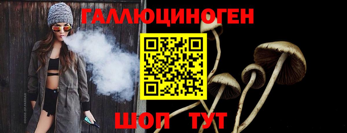 Псилоцибиновые грибы Cubensis Шадринск