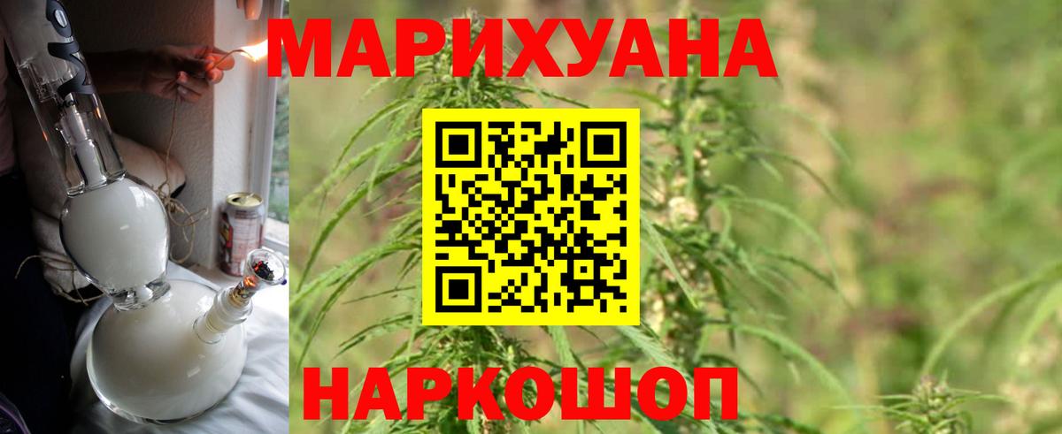 Марихуана White Widow  Вход с VPN  Шадринск  Шишки марихуана планчик  Бошки марихуана план 